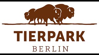 Tierpark Berlin 2021  Impressionen [upl. by Fesuy]