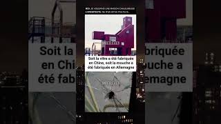 La vitre🤣meme drole viralvideo [upl. by Darej]