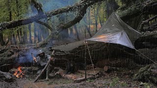 Camping in a heavy rain  Surviving a Dark amp Gloomy Rainforest with my dog [upl. by Arahk]