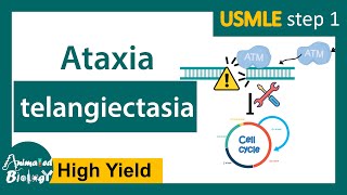 Ataxia telangiectasia  causes symptoms and pathology of Ataxia telangiectasia  USMLE Step 1 [upl. by Angelo]