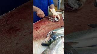 The best way to fillet trout for grilling [upl. by Pals]