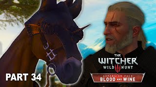 Roach Talks  Blood and Wine DLC  The Witcher 3 Wild Hunt Playthrough Part 34 [upl. by Maidel]