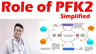 Role of Phosphofructokinase 2 in Regulation of Glycolysis and GluconeogenesisHow to remember easily [upl. by Dianne]