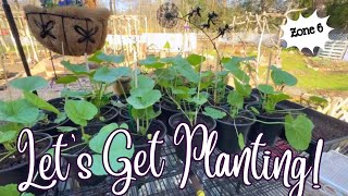 Planting Hollyhocks Bachelors Buttons and Poppies Zone 6 Cottage Garden Vlog [upl. by Jain903]