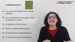 44 Biología celular Cloroplastos [upl. by Lalla]