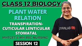 Class 12  Plant Water Relation Transpiration Cuticular Lenticular Stomatal Gyanlab Anjali Patel [upl. by Mllly831]