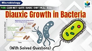 Diauxic growth curve of Ecoli  Catabolite repression  CSIR NET  GATE  MSc  BSc [upl. by Matty]