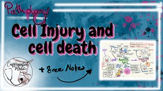 CELL INJURY pathology  reversible injury Hydropic change fatty change amp irreversible injury [upl. by Demitria]