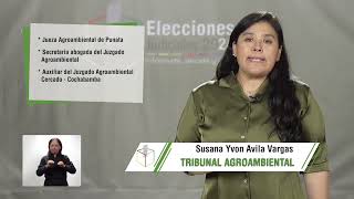 CONOCE LAS CANDIDATURAS PARA LAS ELECCIONES JUDICIALES 2024 [upl. by Frodine342]