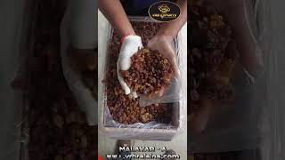 MALAYARA RAISINS raisinsbenefits globalexport malayar [upl. by Kobe]