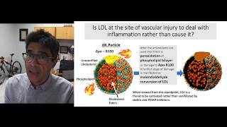 Is oxidized LDL an injured firefighter or an arsonist [upl. by Etyam973]