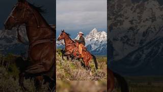 The Rider and His Horse  Western Riding [upl. by Valenka946]