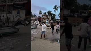 Goa fish catching palolem beach [upl. by Arocal]