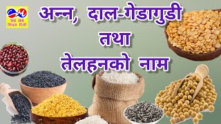 अन्‍न दालगेडागुडी र तेलहनकाे नाम  Cereals Pulses and Oilseeds name kidsvideo education [upl. by Eniale]