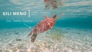 Snorkeling in Turtle Paradise Gili Meno  Indonesia 2024  Underwater Short Film [upl. by Ranger]