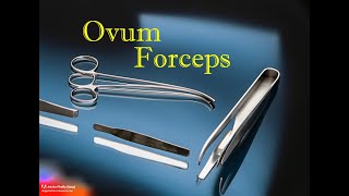 Ovum Forceps Essential Medical Instrument for Obstetric Procedures [upl. by Ysiad]