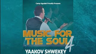 Camp Agudah 2015 Music for the Soul 4 [upl. by Lai]