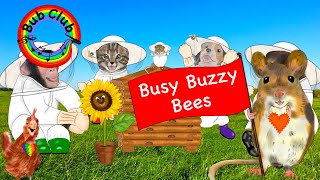 Busy Buzzy Bees  Bub Club  Kids Songs amp Nursery Rhymes [upl. by Dare]