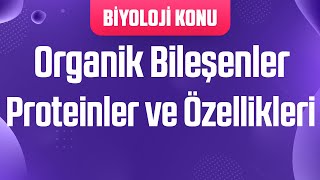 Organik Bileşenler  Proteinler ve Özellikleri [upl. by Indnahc]