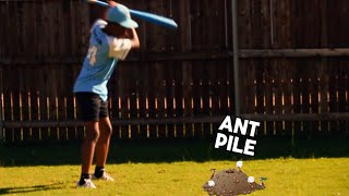 Destroying Ant Piles In My Yard [upl. by Shaine587]