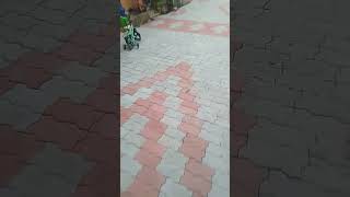 paver block laying work [upl. by Camile303]