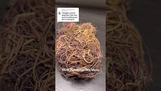 We offer REAL Honduras Sea Moss [upl. by Sheply]