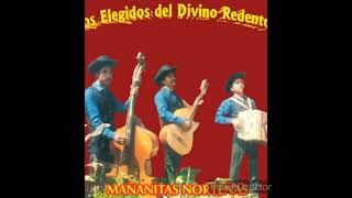 LOS ELEGIDOS DEL DIVINO REDENTOR album completo mañanitas norteñas [upl. by Nirtak286]