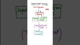 What is Downstream Processing Biotechnology downstream processing biology shorts [upl. by Boys]