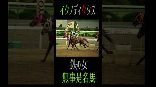 【ショートmad】イクノディクタス 鉄の女 無事是名馬 競馬mad shorts ironmaiden イクノディクタス [upl. by Coates]