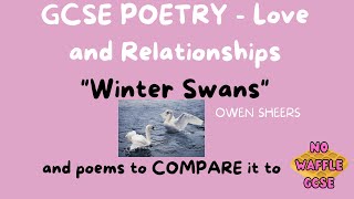 GCSE Poetry love amp relationships WINTER SWANS [upl. by Madelon288]