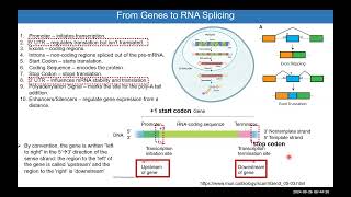 Module 7 NCBI Ensembl GenomeBrowsers PrimerDesign HSS3109 [upl. by Itirp]