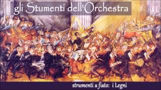 Gli strumenti dellorchestra I LEGNI 25 [upl. by Sevik]