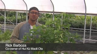 Five easy Native Hawaiian landscaping plants [upl. by Nevah]