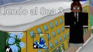 LLEGANDO AL SEA 3  BLOX FRUITS SEA 3🌟 [upl. by Deron]