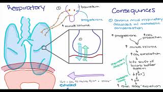 Maternal Changes in Pregnancy [upl. by Helenka]