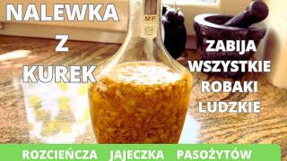 Nalewka z kurekzabija wszystkie robaki ludzkie „rozcieńcza” jajeczka pasożytów łagodna dla wątroby [upl. by Pincince]