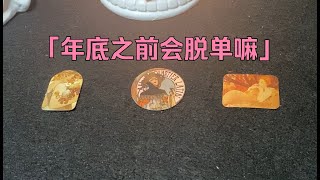 【塔羅牌占卜】年底之前会脱单嘛 [upl. by Aham]