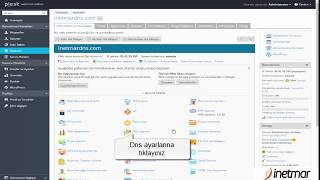 Plesk Panel Domain DNS Ayarları [upl. by Kendricks]