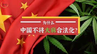 为什么中国不将大麻合法化？ [upl. by Meehyrb607]