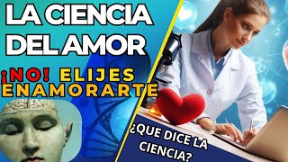 ¿Amor psicológico o química cerebral La Ciencia de Enamorarse y Olvidar [upl. by Nibor]