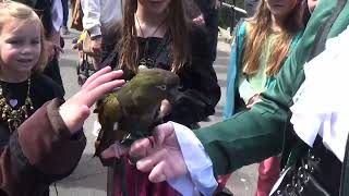 Brixham Pirate Festival 4524 [upl. by Wharton]