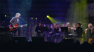 Neil Finn  One Step Ahead live with strings Auckland 2015 [upl. by Vigor]