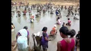 traditional fishing in india [upl. by Olivia384]