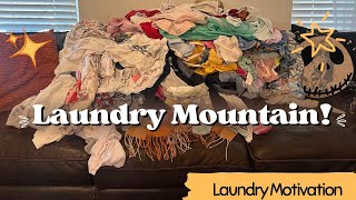 Laundry Mountain Laundry Motivation Cleaning Motivation Homemaker SAHM Military Wife Vlog [upl. by Atsejam]