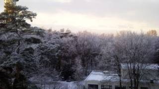 Weerbericht vrijdagochtend Veel sneeuw [upl. by Ile290]