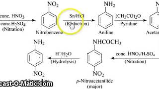 Benzene to p nitroaniline [upl. by Daley271]