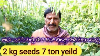 ಕೇವಲ ಅರ್ಧ ಎಕರೆಯಲ್ಲಿ 7 ಟನ್ ಬೀನ್ಸ್ ಬೆಳೆದ ರೈತರು 7 ton beans in 2000 sqmtrsuccessfull farming [upl. by Tiloine313]