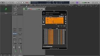 Mute Cuica and Open Cuica Oohs Sound Effect  Sample Demonstration [upl. by Charlie]