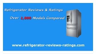 Samsung RS261MDBP Refrigerator Review [upl. by Dian161]