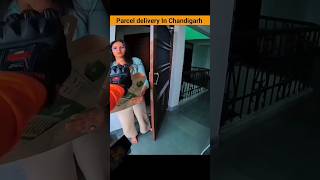 Parcel in Chandigarh  minivlog vlog travel travelvlog deliverypartner bikevlog parcel [upl. by Etnwahs724]